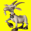 Crazy nasty goat