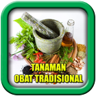 Tanaman Obat Tradisional biểu tượng