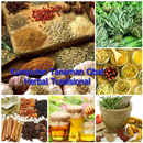 Ragam Tanaman Obat Tradisional APK