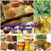 Ragam Tanaman Obat Tradisional Affiche