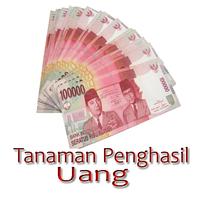 برنامه‌نما Tanaman Penghasil Uang عکس از صفحه