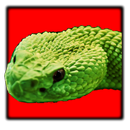 Snake Puzzle HD aplikacja