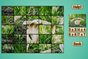 Schlangen Puzzle HD Plakat