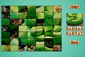 Schlangen Puzzle HD Screenshot 2