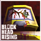 Blockhead Rising icône
