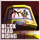ikon Blockhead Rising