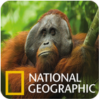 Collection National Geographic Video আইকন