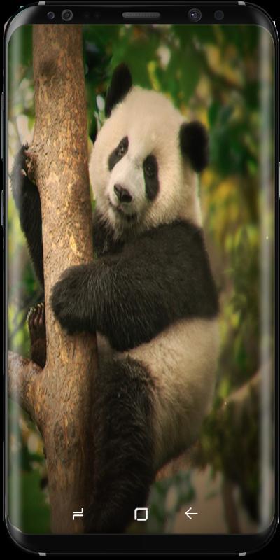 Collection Animal Planet Video APK for Android Download Collection Animal Planet Video APK for Android Download
