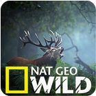 ikon Video of Nat Geo WILD