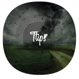 Survive From Hurricane