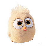 ”New Dizzy kids colors