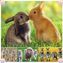 Animals SoundNatural APK