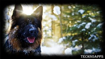 German Shepherd Wallpaper imagem de tela 2