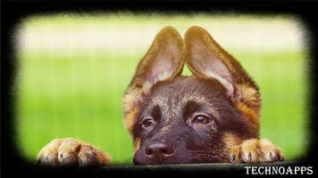 German Shepherd Wallpaper imagem de tela 3