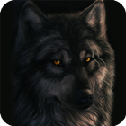 Dark Wolf Live Wallpaper icône