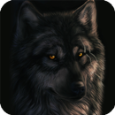 APK Dark Wolf Live Wallpaper