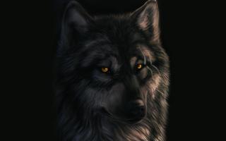 Dark Wolf Live Wallpaper Affiche