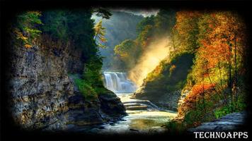 Forest Waterfall Wallpaper Affiche