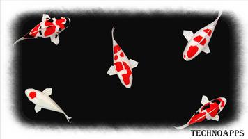 برنامه‌نما Koi Fish Wallpaper عکس از صفحه