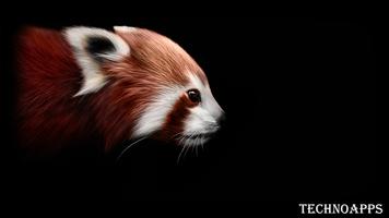 Red Panda Wallpaper imagem de tela 1