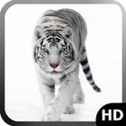 White Tiger Pack 2 Wallpaper आइकन