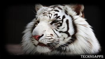 White Tiger Pack 2 Wallpaper स्क्रीनशॉट 3
