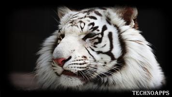 White Tiger Pack 2 Wallpaper capture d'écran 3