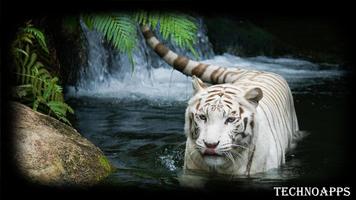 White Tiger Pack 2 Wallpaper स्क्रीनशॉट 1