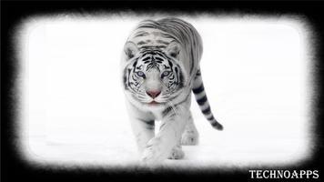 White Tiger Pack 2 Wallpaper स्क्रीनशॉट 2