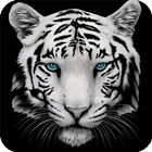 White Tiger Wallpaper ikon