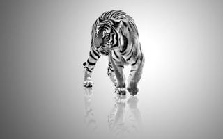 White Tiger Wallpaper Screenshot 2