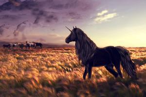 برنامه‌نما Unicorn Wallpaper Fantasy عکس از صفحه