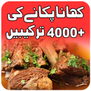 Pakistani food Urdu recipes APK