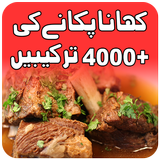 Pakistani food Urdu recipes icon