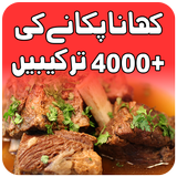 Pakistani food Urdu recipes Zeichen