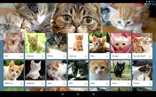 Cat Communicator screenshot 1