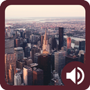 City Sounds for Kids-APK