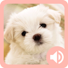 Cute Animal Sounds ikona