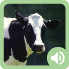 Animal Sounds: Farm icon