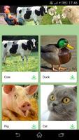 Poster Animal Sounds: Farm