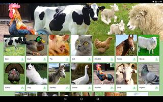 Animal Sounds: Farm screenshot 1