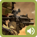 Gun Sounds