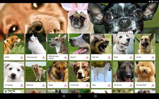 Dog Communicator تصوير الشاشة 1