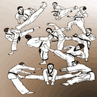 Teakwondo Martial Arts Technique ไอคอน