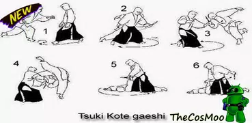The Best Aikido Techniques