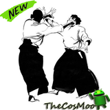 The Best Aikido Techniques icon
