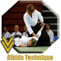 Техника Айкидо
