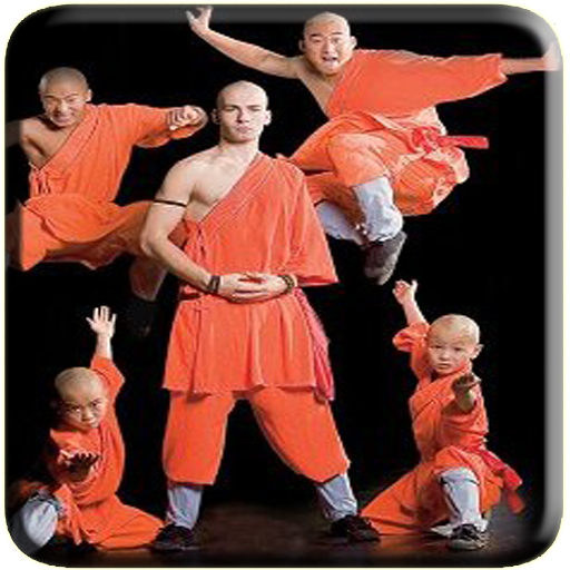 Shaolin Martial Technique