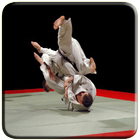 Jo-Ho Martial Arts 图标