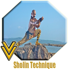 Shaolin Martial Technique ไอคอน